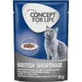 Concept for Life British Shorthair Adult (Ragout-kvalitet) - 24 x 85 g