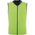Dainese Snow Scarabeo Auxagon Beskyttelsesvest