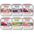 Wolf of Wilderness Økonomipakke Wolf of Wilderness Adult 24 x 300 g - 24 x 300 g: Great Desert - Kalkun