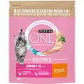 Purina One Junior - Økonomipakke: 2 x 750 g