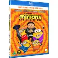 SF Studios Minions: The Rise Of Gru Dvd