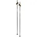 Swix Dynamic D3 Spaserstokker