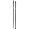 Swix Dynamic D1, Langrendsstaver, Black