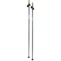 Swix Dynamic D2 Spaserstokker