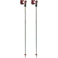 LEKI LE STICK SPITFIRE 3D green/red 110