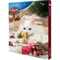 Trixie Julekalender til kat