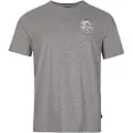 O'Neill N02308 Circle Surfer Kortarmet T-skjorte