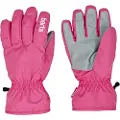 Barts Basic Ski Hansker