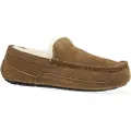 Ugg Ascot Tøfler