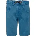 Protest Orlin Shorts