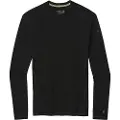Smartwool Merino 250 Crew Langarmet T-skjorte