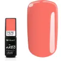 Silcare SILCARE_Flexy Hybrid Gel hybrid polish 19/1 4.5g