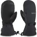 Dakine Leather Titan Gore-Tex Votter svart
