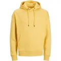Jack & Jones Star Basic Hetteskjorte