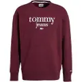 Tommy Hilfiger Dm0dm15029 Collegegenser