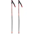 Rossignol Hero Gs-sg Spaserstokker