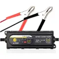 Dunlop 6/12v Battery Lader