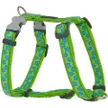 Red Dingo Style Star Hundesele