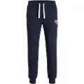 Jack & Jones Gordon Svettbukser
