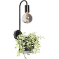 QAZQA Moderne vegglampe sort med glass - Roslini