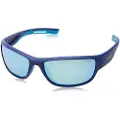 Polaroid Eyewear Pld 7028/s Polariserte Solbriller