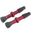 VAR 2 Alloy Presta Ventiler