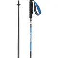 Salomon Pulsar Carbon Spaserstokker