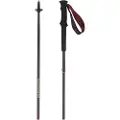 Salomon Quest Carbon Foldable Spaserstokker