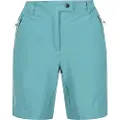 Regatta Mountain Shortsii Shorts
