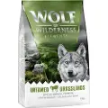Wolf of Wilderness Sensitiv "Untamed Grasslands" hest – uten korn - 5 x 1 kg
