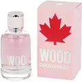 Dsquared2 Wood 100ml Eau De Toilette