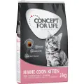 Concept for Life Maine Coon Kitten - 3 kg