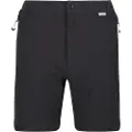 Regatta Mountain Ii Shorts