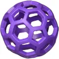 Jw HOL-ee ring, s