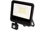 EDM 50w 4000 Lumens 6400k Led-flomlys