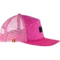 Salewa Base Cap