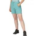 Regatta Mountain Shortsii Shorts