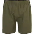 Under Armour Vanish Woven 6´´ Shorts