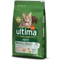 Affinity Ultima Ultima Cat Adult Laks - 2 x 7.5 kg