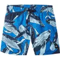O'Neill Cali Print 13'' Kids Boardshorts blå