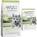 Wolf of Wilderness Junior "Green Fields" - Lam - Økonomipakke: 2 x 12 kg