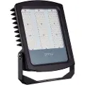 Opple Lighting LEDFlood-P Re440-220W-4000-AS-BL, Sort, IP66, Aluminium, Polykarbonat (PC), Herdet glass, I, IK08, 1 m