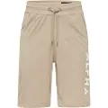 Alpha industries Alpha Jersey Sports Shorts