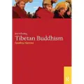 Taylor & Francis Ltd Introducing Tibetan Buddhism