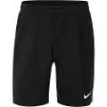 Nike Team Spike Shorts