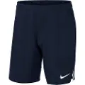 Nike Team Spike Shorts
