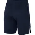 Nike Team Spike Shorts
