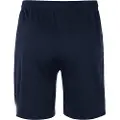 Nike Team Spike Shorts