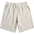 Quiksilver Essentials Sports Shorts