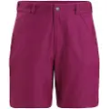 Icebreaker Hike Shorts